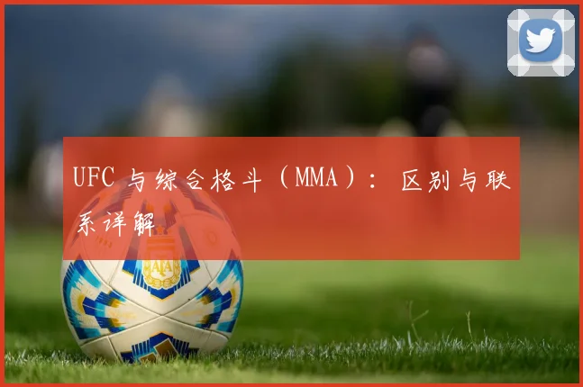 UFC 与综合格斗(MMA):区别与联系详解