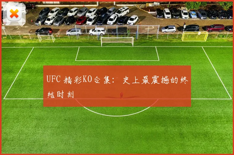 UFC 精彩KO合集：史上最震撼的终结时刻