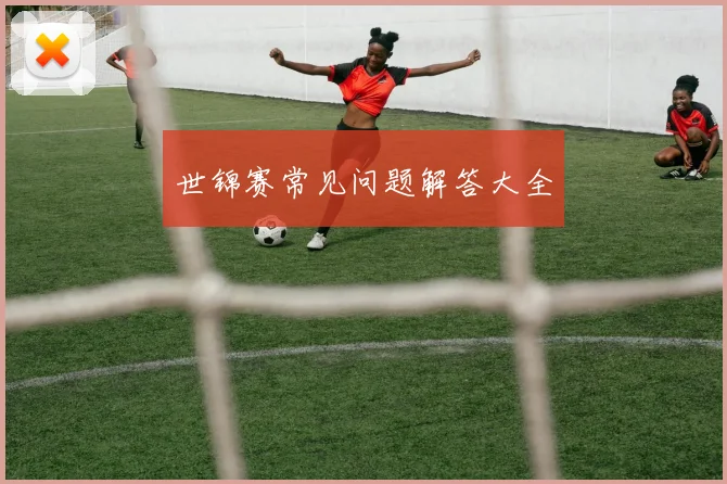世锦赛常见问题解答大全